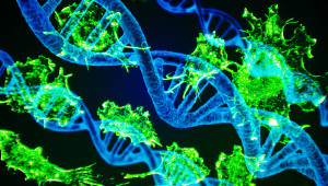 Value Dossie DNA und Cancer cells © Jürgen Fälchle -stock.adobe.com #162815941